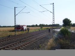 20150704 Großer Flächenbrand L566 Basheide 09